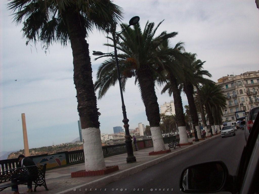 ORAN VOYAGE SEPTEMBRE 2010   (22).jpg